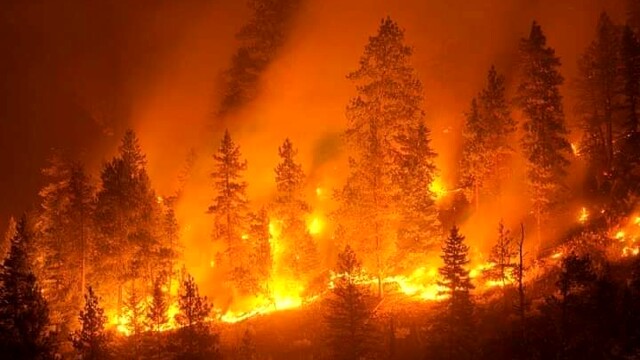 Emergenza incendi nei parchi, serve piano straordinario. Situazione grave in Aspromonte e Madonie