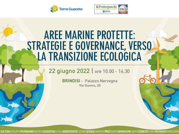 Aree Marine Protette: strategie e governance, verso la transizione ecologica