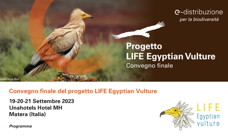 Life Egyptian Vulture, convegno finale dal 19 al 21 settembre